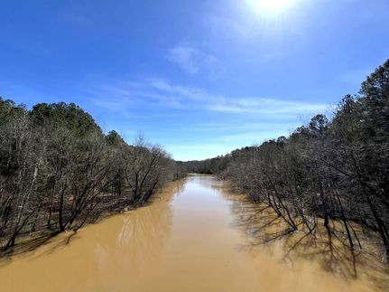Undeveloped Land in Elbert County, Georgia