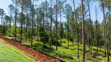 Residential Property in Coweta County, Georgia