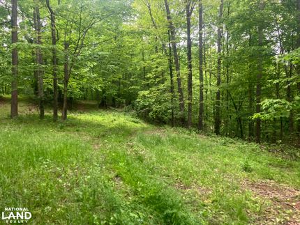 Hunting Land for sale in Braxton County, West Virginia