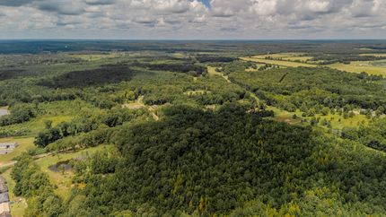 Timberland Property for sale in Holmes County, Mississippi