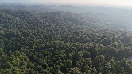 Timberland Property for sale in Jackson County, Indiana