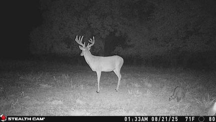 Riverfront Property for sale in Kingman County, Kansas