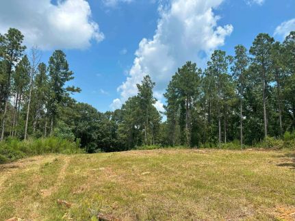 Property for sale in Elbert County, Georgia