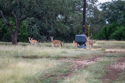 Recreational Property for sale in Kerr County, Texas