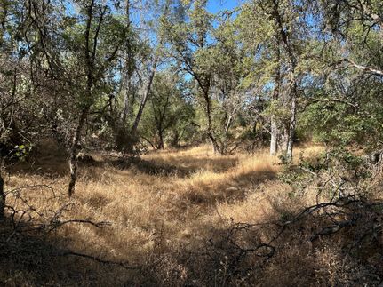 Undeveloped Land for sale in Mariposa County, California