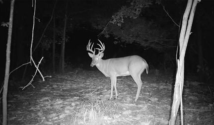 Recreational Property for sale in Terrell County, Georgia