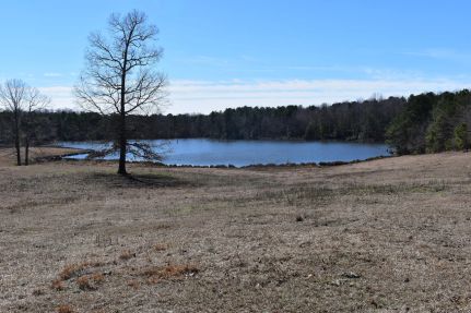 Ranch Property for sale in Saline County, Arkansas