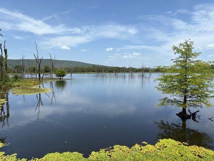 Hunting Land for sale in Pittsburg County, Oklahoma