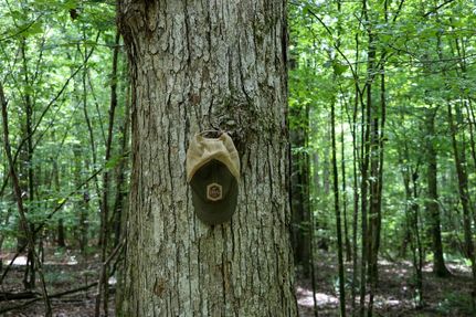 Undeveloped Land for sale in Choctaw County, Mississippi