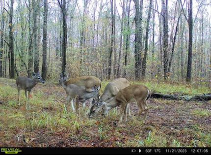 Property for sale in Hinds County, Mississippi