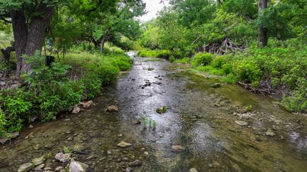 Ranch Property for sale in Menard County, Texas