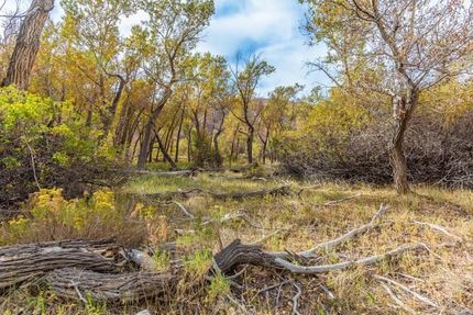 Undeveloped Land for sale in Sevier County, Utah