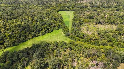 Timberland Property in Robertson County, Kentucky