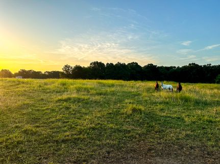 Property for sale in McDonald County, Missouri