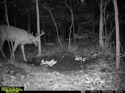 Farm Property for sale in Union County, Indiana