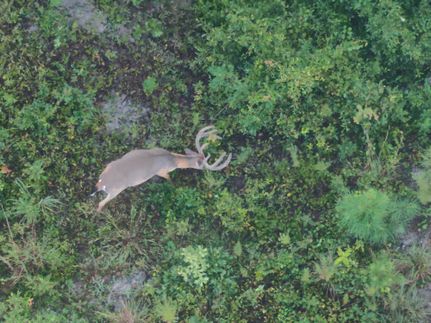 Residential Property for sale in Wilkinson County, Georgia