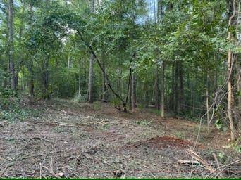 Property for sale in Pike County, Alabama
