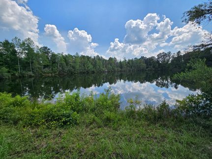Timberland Property for sale in Quitman County, Georgia