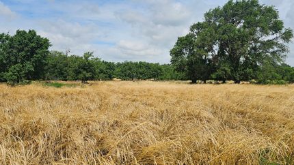 Farm Property in Reno County, Kansas