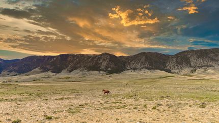 Recreational Property for sale in Albany County, Wyoming