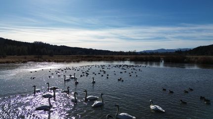 Hunting Land for sale in Lewis County, Washington