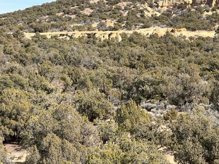 Farm Property for sale in San Juan County, New Mexico