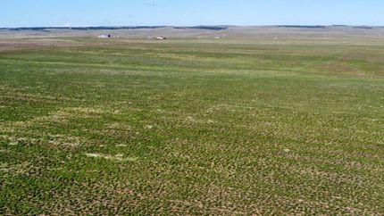 Undeveloped Land for sale in Elbert County, Colorado