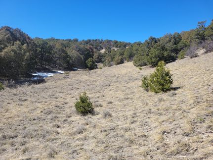 Recreational Property for sale in Chaffee County, Colorado