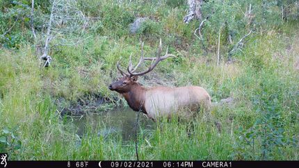 Recreational Property for sale in Larimer County, Colorado