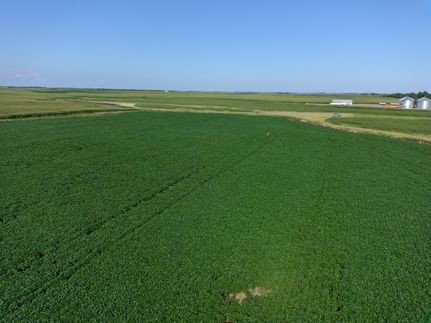 Hunting Land in Brown County, South Dakota