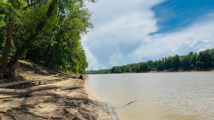 Riverfront Property for sale in Clarke County, Alabama