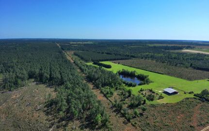 Ranch Property for sale in Baldwin County, Alabama