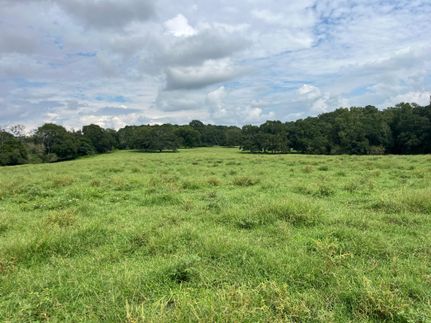 Property for sale in Oglethorpe County, Georgia