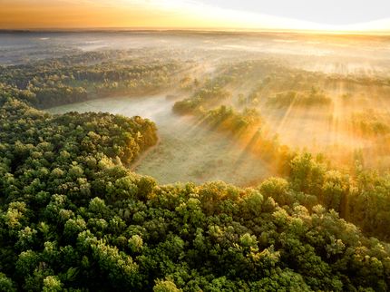 Timberland Property for sale in Itawamba County, Mississippi