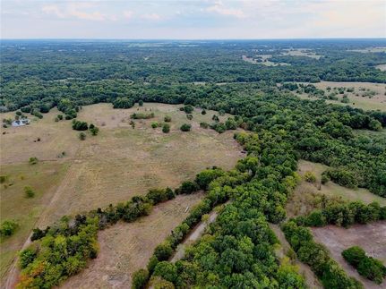 Undeveloped Land for sale in Fannin County, Texas