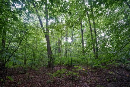 Property for sale in Highland County, Ohio