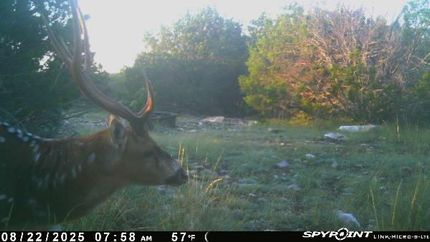 Recreational Property for sale in Edwards County, Texas