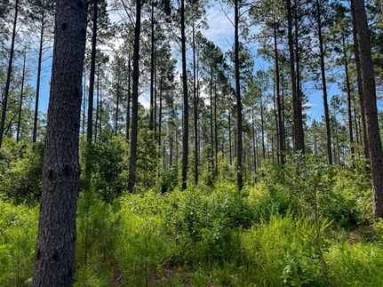 Ranch Property for sale in Dallas County, Arkansas