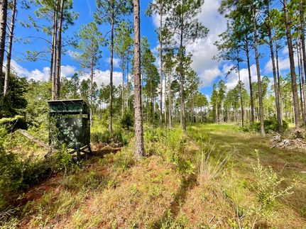 Farm Property for sale in Gilchrist County, Florida