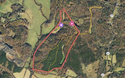 Hunting Land in Patrick County, Virginia