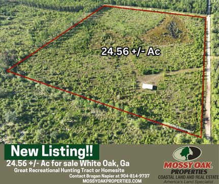 Timberland Property for sale in Camden County, Georgia