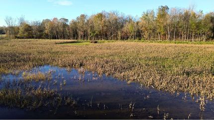 Farm Property in Benton County, Tennessee