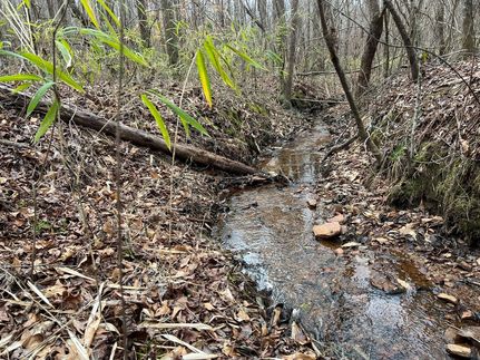 Farm Property in Clay County, Alabama
