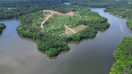 Lakefront Property for sale in Marion County, Alabama