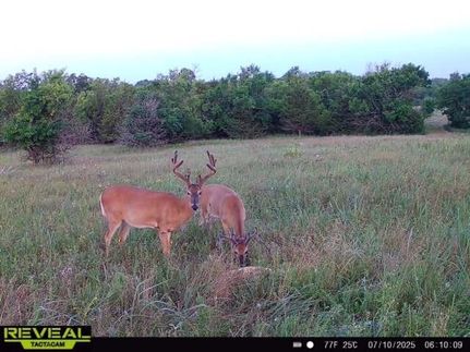 Undeveloped Land for sale in Elk County, Kansas