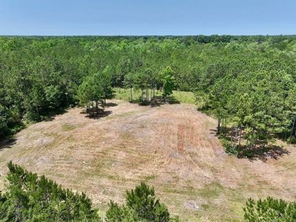 Undeveloped Land for sale in Pamlico County, North Carolina