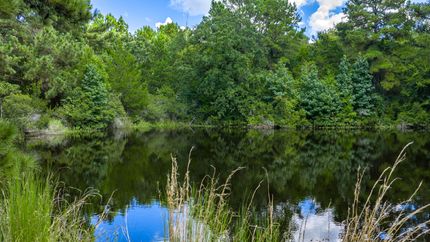 Ranch Property for sale in Madison County, Texas