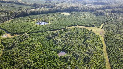 Property for sale in Clay County, Mississippi