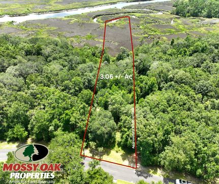 Undeveloped Land for sale in Camden County, Georgia