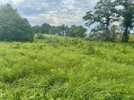 Property for sale in Schuyler County, Illinois